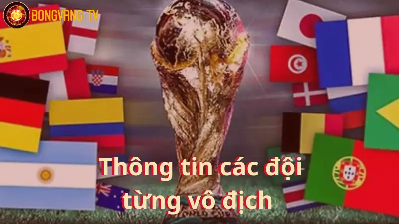 tay-ban-nha-vo-dich-world-cup-may-lan-3