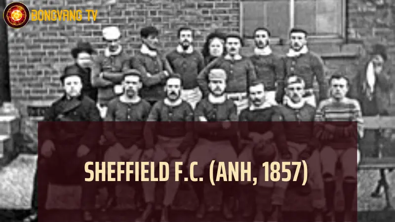 Câu lạc bộ bóng đá lâu đời nhất - Sheffield F.C. (Anh, 1857)