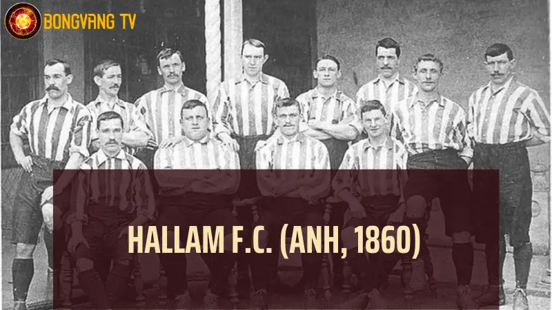 Câu lạc bộ bóng đá lâu đời nhất - Hallam F.C. (Anh, 1860)