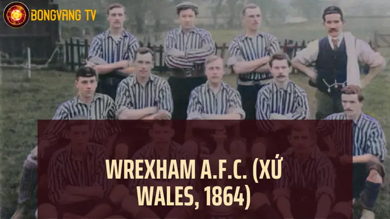 Câu lạc bộ bóng đá lâu đời nhất - Wrexham A.F.C. (Xứ Wales, 1864)
