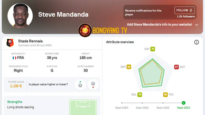 Đội hình pháp vô địch World Cup 2018 - Steve Mandanda