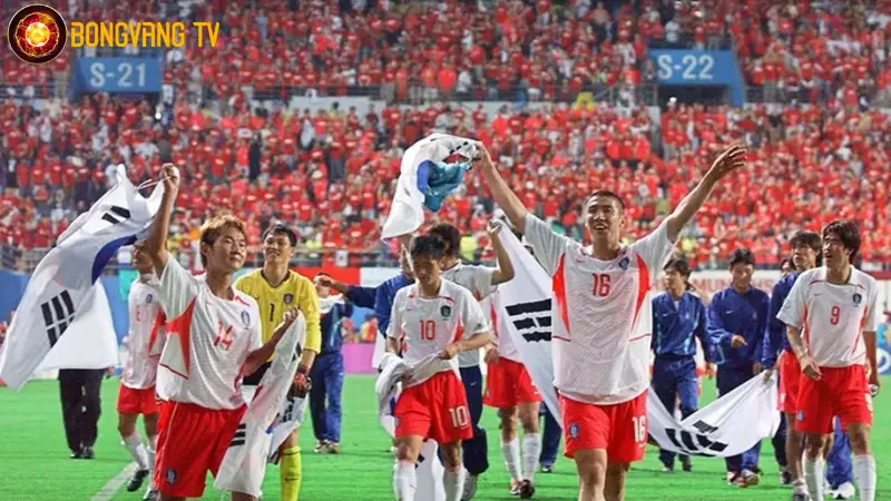 WC 2022: Hàn Quốc vô địch World Cup năm nào? 